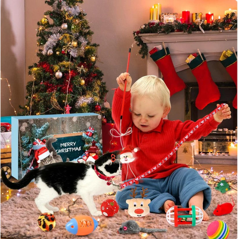 🎄 Calendario de Adviento para Gatos 😺